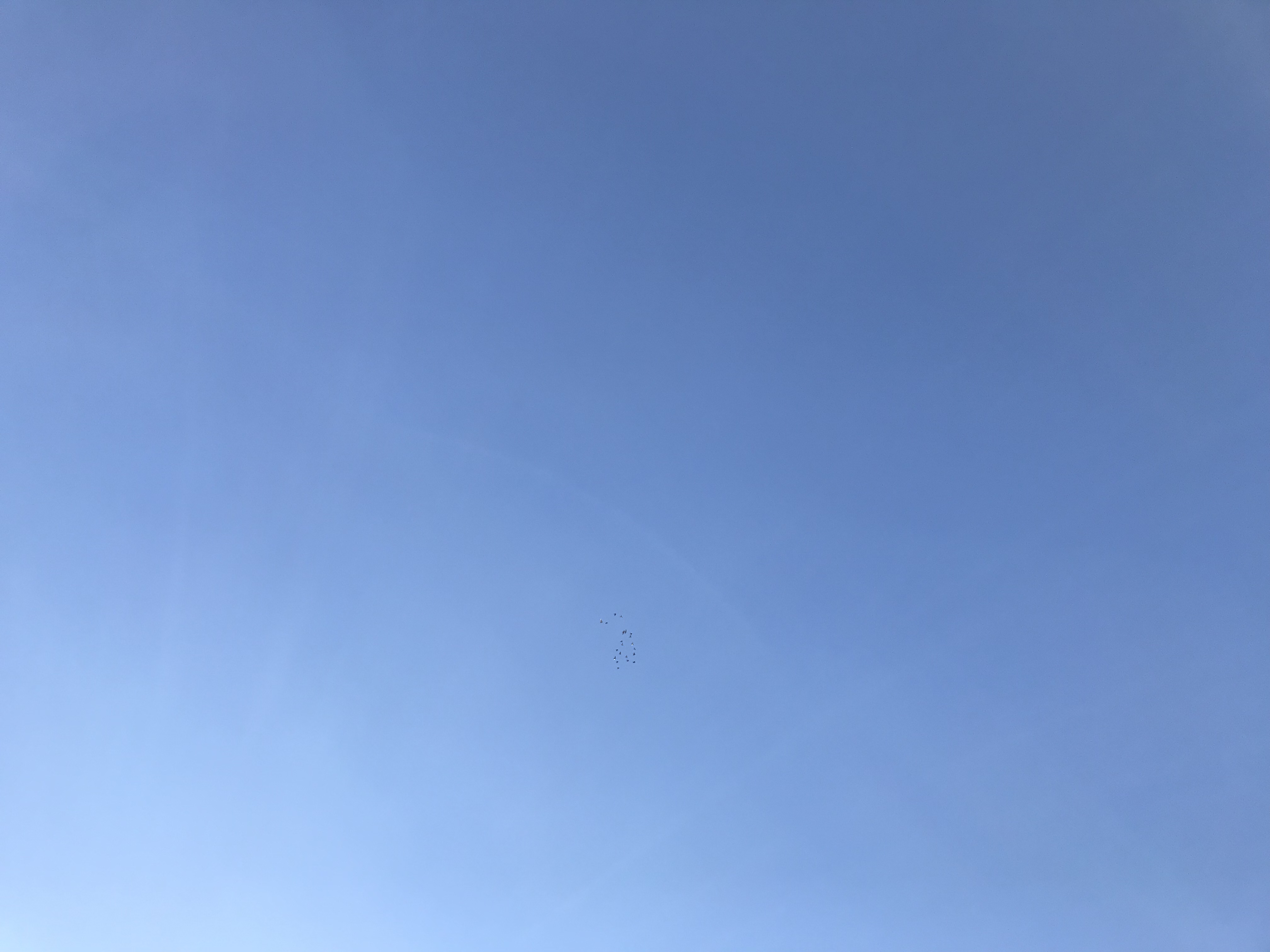 1225:1