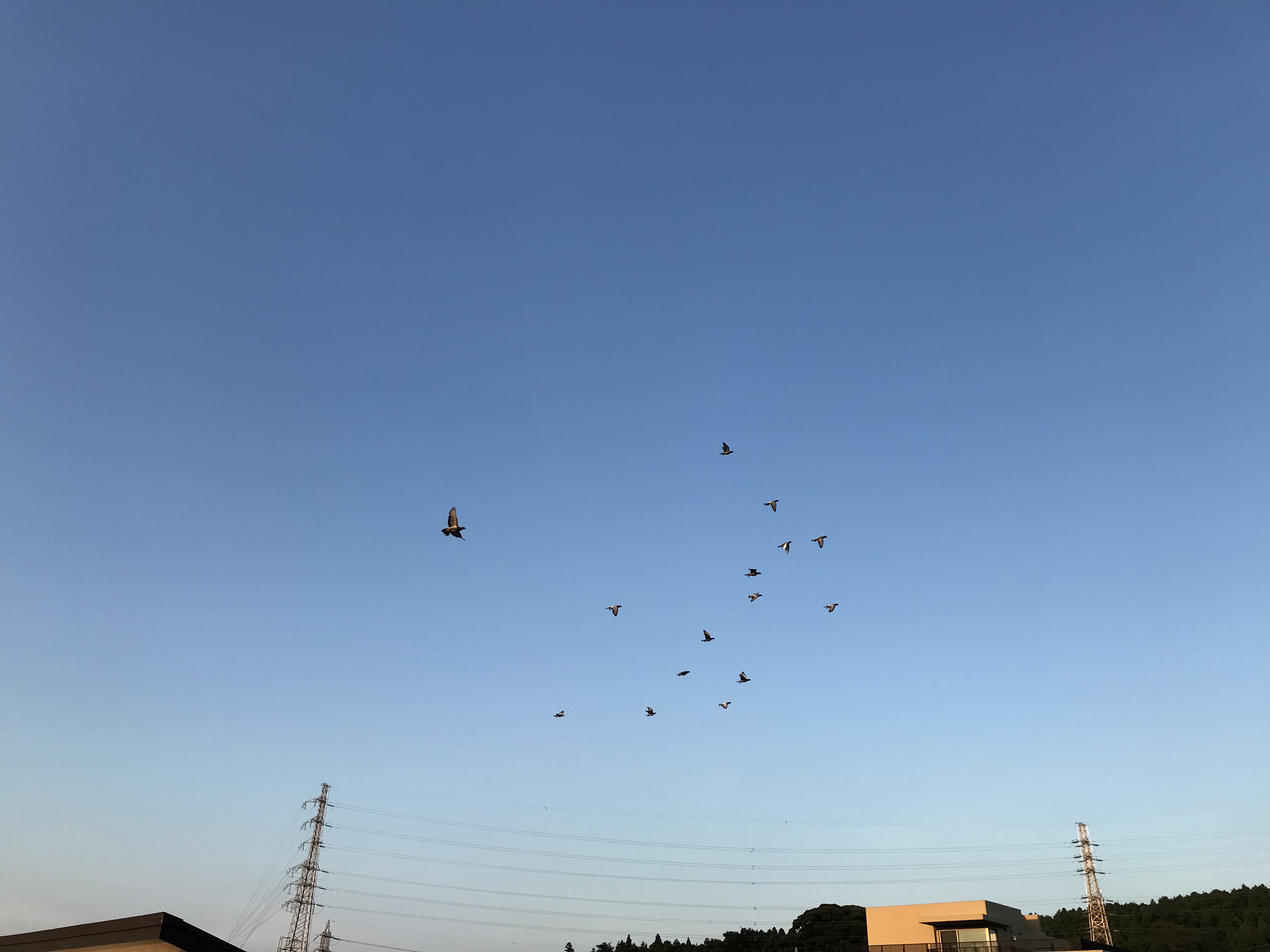 0724:1