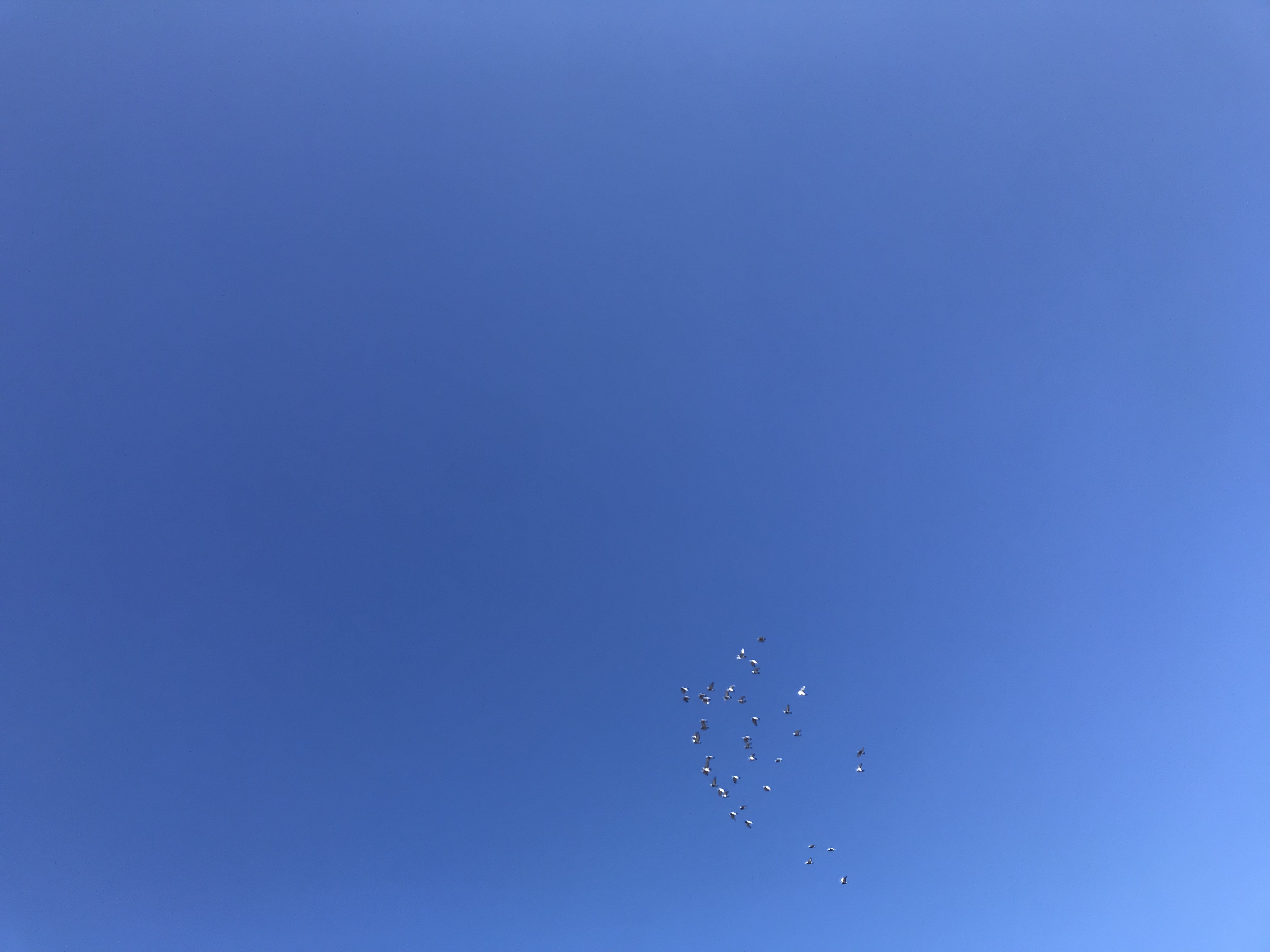 1024:1