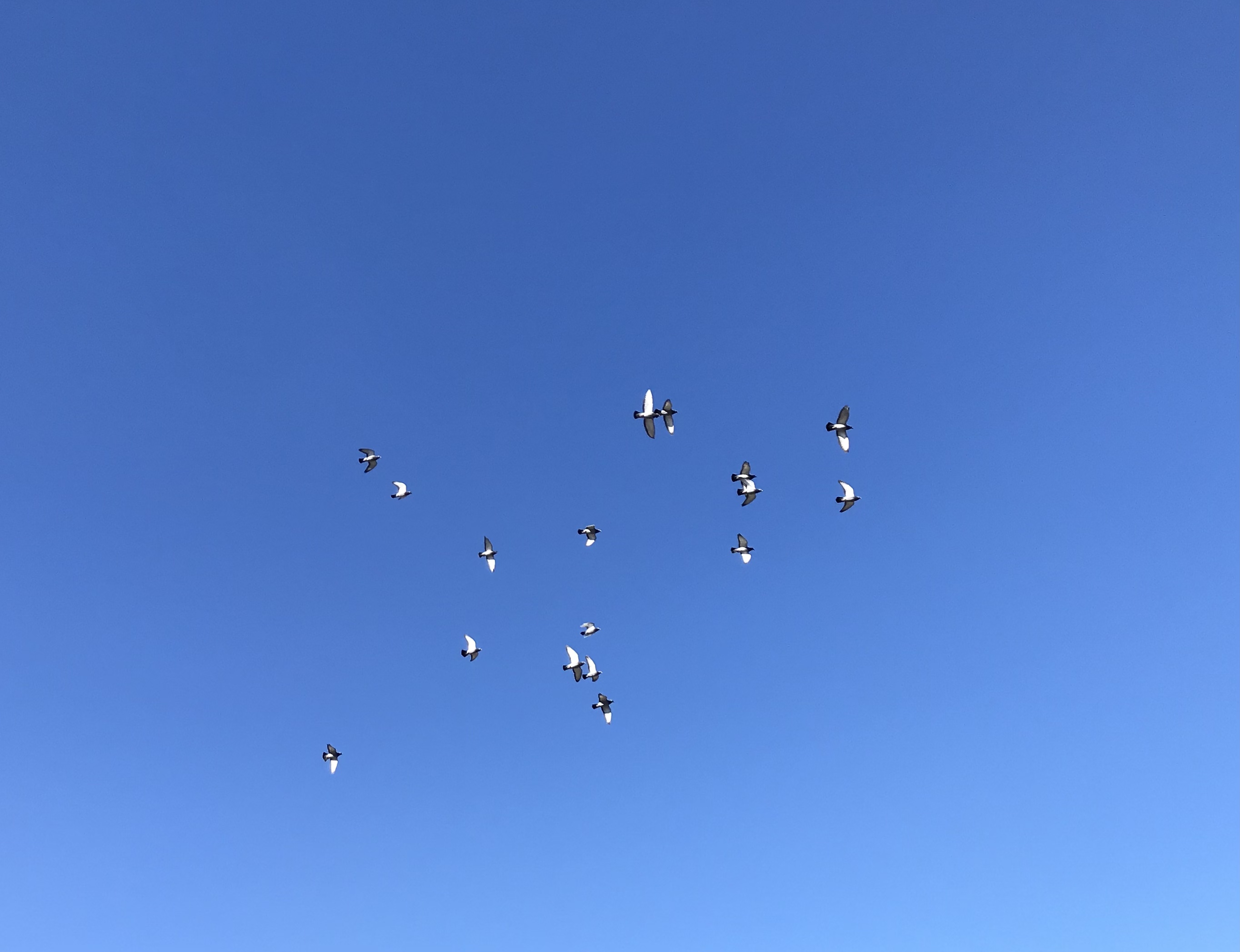 1206:1