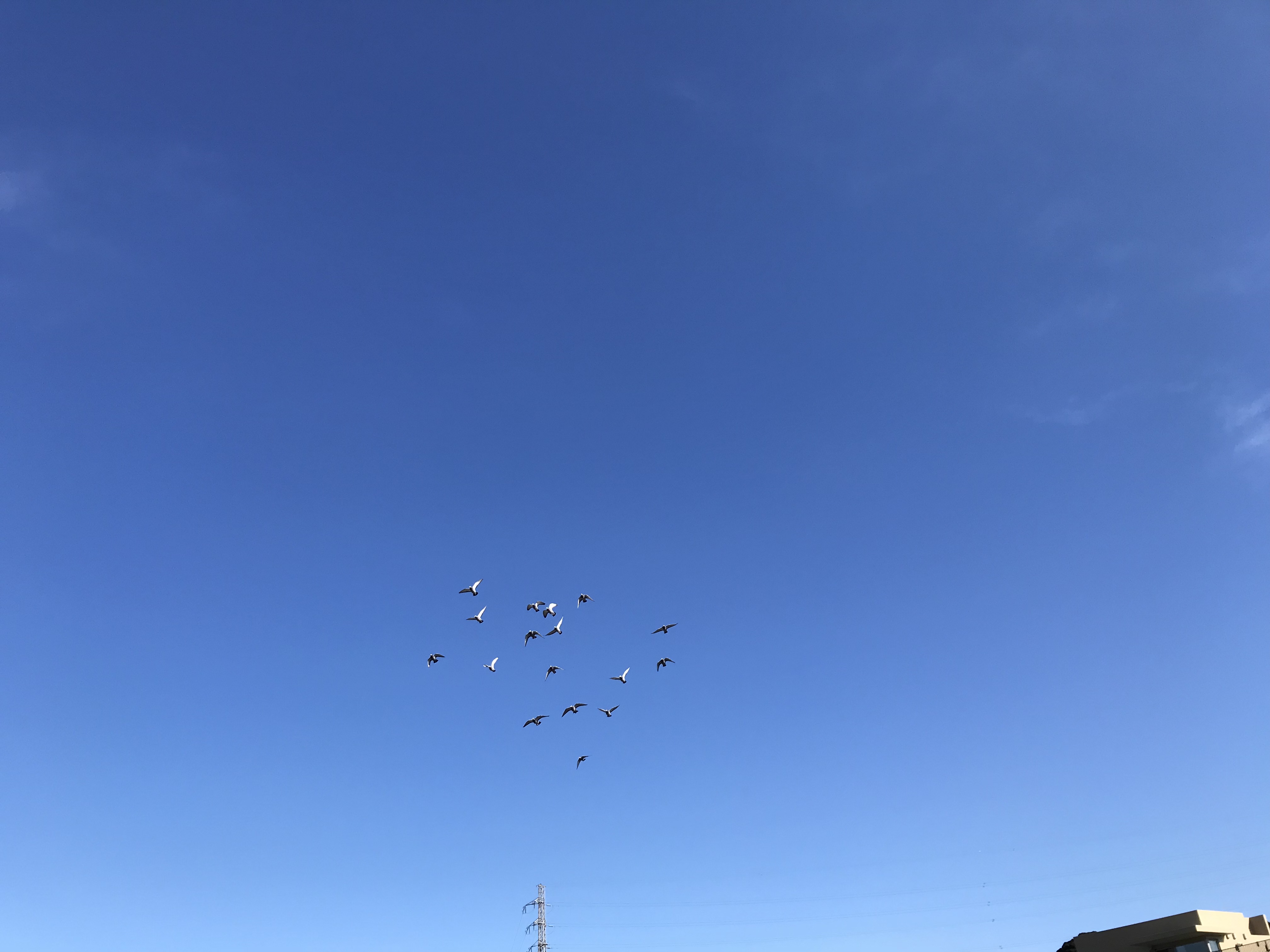 1221:1