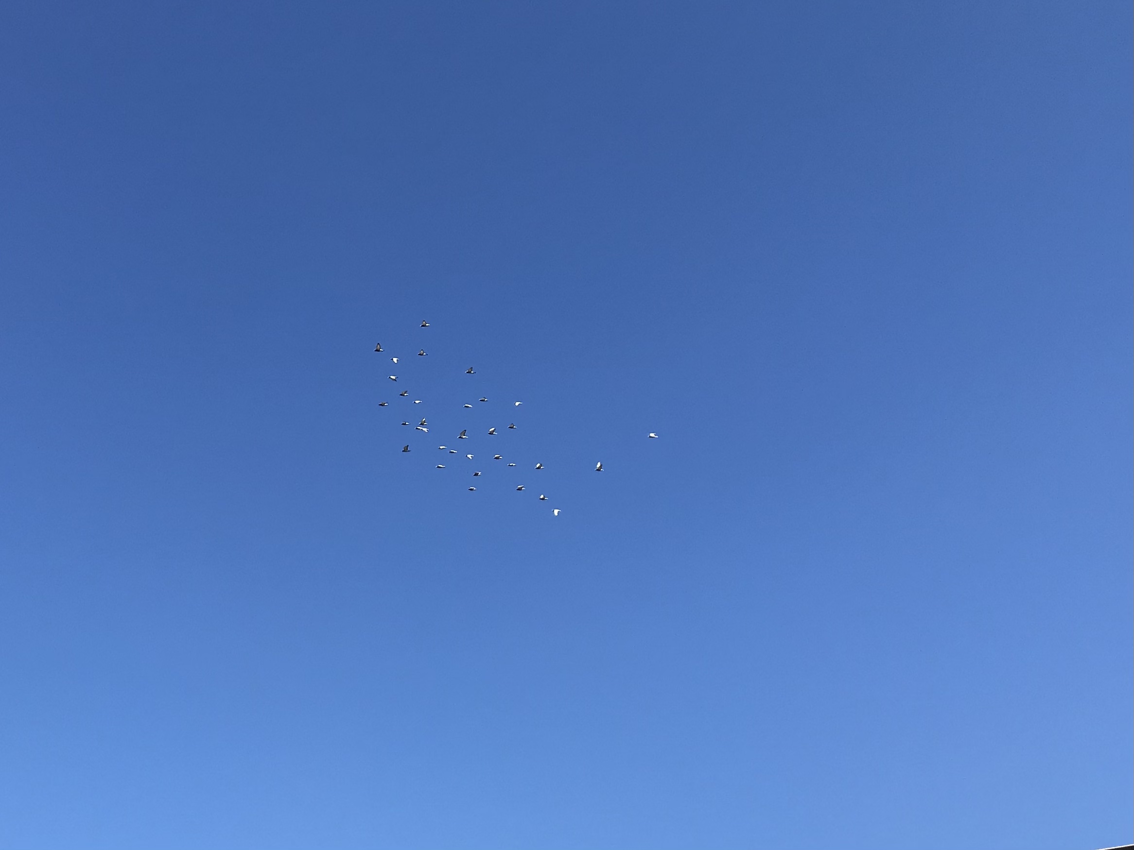 1227:1